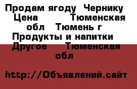 Продам ягоду. Чернику. › Цена ­ 270 - Тюменская обл., Тюмень г. Продукты и напитки » Другое   . Тюменская обл.